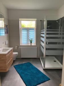 a bathroom with a shower and a toilet and a sink at ehemaliges Gutsverwalterhaus in Mildenitz