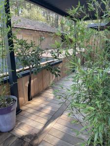 a garden with a wooden walkway with trees and a fence at La Cabane des P’tits chiffon in Lacanau