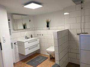 a bathroom with a toilet and a sink and a mirror at Ferienwohnung Bauer in Puschendorf +12 photos