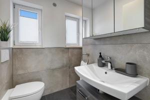 a bathroom with a sink and a toilet and a mirror at Ferienwohnung aufm Weinberg in Schwandorf in Bayern +17 photos