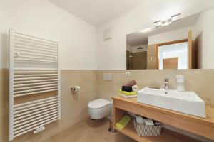 a bathroom with a sink and a toilet and a mirror at Ederhof in Schenna +38 photos