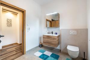 a bathroom with a toilet and a sink and a mirror at Steinwender in Kaltenbach +13 photos