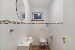 a bathroom with a toilet and a sink and a mirror at Fewo Landschaftstraum am Bodensee in Lindau +24 photos