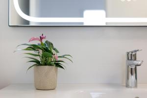 a plant sitting on top of a bathroom sink at La Lajita Beach Estudio in Lajita +16 photos