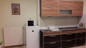Kuchyň nebo kuchyňský kout v ubytování Relax apartman