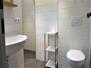a bathroom with a toilet and a sink at Schmiede Burkheim in Vogtsburg