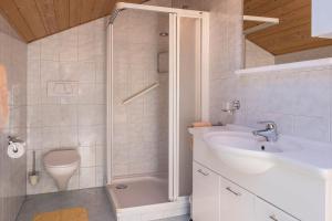 a bathroom with a sink and a toilet and a shower at Gamperhof Apartment Latemar in Collepietra