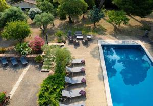 an overhead view of a swimming pool with lounge chairs and trees at Maison Vigneronne-piscine et vignes in Trèbes