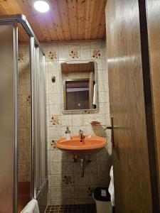 a bathroom with a sink and a mirror at Am Wehrastrand Einzelappartment in Todtmoos +13 photos