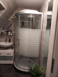 a bathroom with a shower and a sink at Ferienwohnung Conrads in Zetel