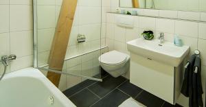 a bathroom with a toilet and a sink and a shower at Ferienwohnung Aichem in Radolfzell am Bodensee +21 photos