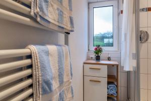 a bathroom with a shower and a sink and a window at Haus Nussbaum in Hödingen