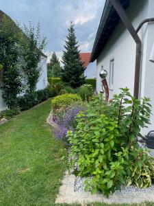 a garden of flowers and plants next to a house at Ferienwohnung Heilsbronn in Heilsbronn