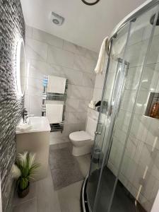 a bathroom with a shower and a toilet and a sink at Private Entrance En-suite in Gorey +12 photos