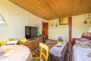 a living room with a bed and a tv at Cal Barral in Ansobell