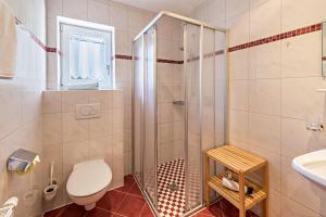 a bathroom with a shower and a toilet and a sink at Ferienwohnung Helena in Schwendau