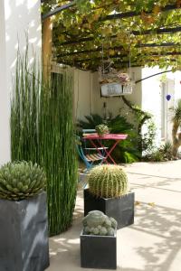 a patio with cacti and a table and plants at Chambre D'hôtes À 2 Pas Des Plages in Notre-Dame-de-Riez