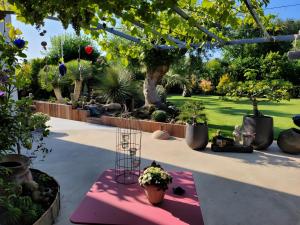 a garden with trees and potted plants on a pink table at Chambre D'hôtes À 2 Pas Des Plages in Notre-Dame-de-Riez