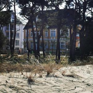 a building on the beach with trees in the foreground at Villa Adler- Seeblick in Ahlbeck +6 photos