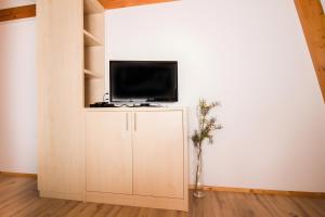 a tv sitting on top of a cabinet in a room at Ferienwohnung Aichem in Radolfzell am Bodensee