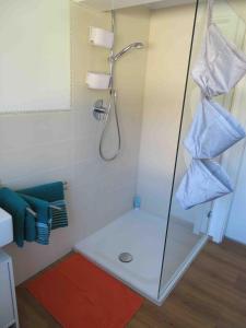 a bathroom with a shower with a glass door at Straussi´s Loft in Tuttlingen