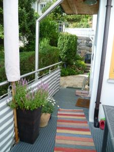 a porch with a rug and plants on it at Straussi´s Loft in Tuttlingen +2 photos