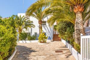 a pathway with palm trees and a white fence at Villa Bellver in Palma de Mallorca