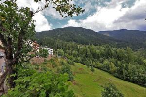 a green hill with trees and buildings on it at Casa Sicina Alberto in Valfloriana