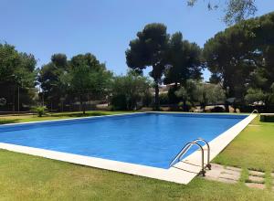 a swimming pool in a yard with trees at Apartamento Francás in Comarruga