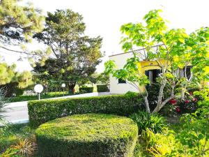 a garden in front of a house with a bush at Incantevole Villa Maddalena in Otranto