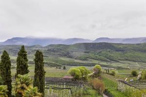 a view of a valley with trees and mountains at Weingut Lieselehof Apt Panorama in Caldaro