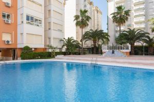 a large swimming pool in a building with palm trees at Las Alondras in Gandía