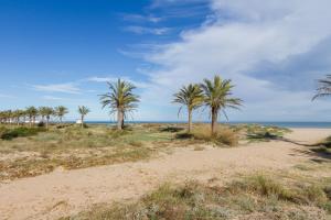 a beach with palm trees and the ocean at Las Alondras in Gandía