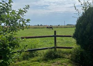 a wooden fence in a field with horses in the distance at Ferienhof Renate Sassen in Werdum +33 photos
