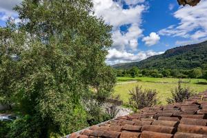 a view from the roof of a house with a tree at Apartamento 2 Casa Las Indianas in Selores