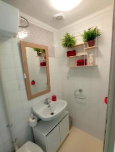 a bathroom with a sink and a toilet and a mirror at Ca Les Nines 2 in Pinell de Bray +19 photos