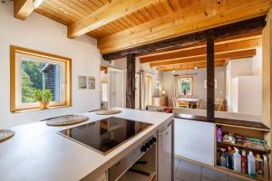 a kitchen with wooden ceilings and a large counter top at Ferienwohnung Rabus in Bisingen +23 photos