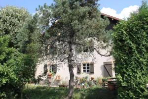 a tree in front of a white house at Gite - Le befoigneu in Ferdrupt +20 photos