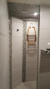 a bathroom with a shower with a glass door at Gîte Du Vignal in Mazeyrat-d'Allier +10 photos