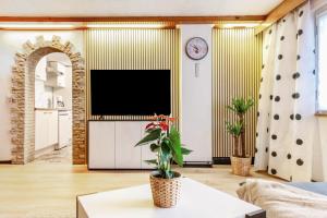 a living room with a television and a table with a plant at Waldhaus zur Kleinbahn in Glashütte