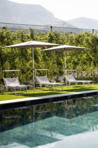 two chairs and umbrellas next to a swimming pool at Apartment Oberhaslerhof in Schenna
