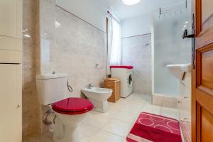 a bathroom with a toilet and a shower and a sink at Gîte Le Séguret in Entrechaux +12 photos