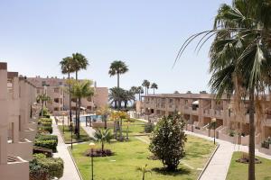 a view of the courtyard of a resort with palm trees at Costa Bella la Tejita in La Tejita
