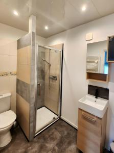 a bathroom with a shower and a toilet and a sink at Gîte avec bar et four à pizza in Étreval