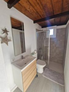 a bathroom with a sink and a shower and a toilet at Casa Deco in San Borondón
