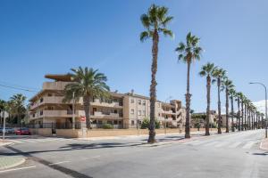 an empty street with palm trees and a building at Casa Pepe in Los Narejos