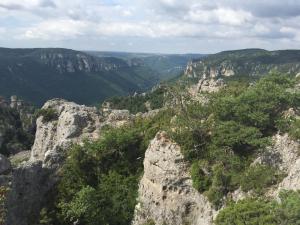a view of a mountain with trees and rocks at Rives du Tarn in Peyreleau