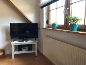 a living room with a television and two potted plants at Faißbauernhof in Winden im Elztal