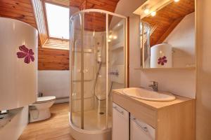 a bathroom with a shower and a sink at Gite des Granges in Tréminis +14 photos