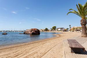 a sandy beach with a palm tree and water at Moreras in Puerto de Mazarrón